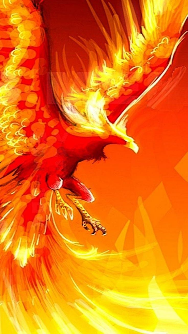 736x1308 image wallpaper. Black HD wallpaper, Wolf wallpaper, Wallpaper