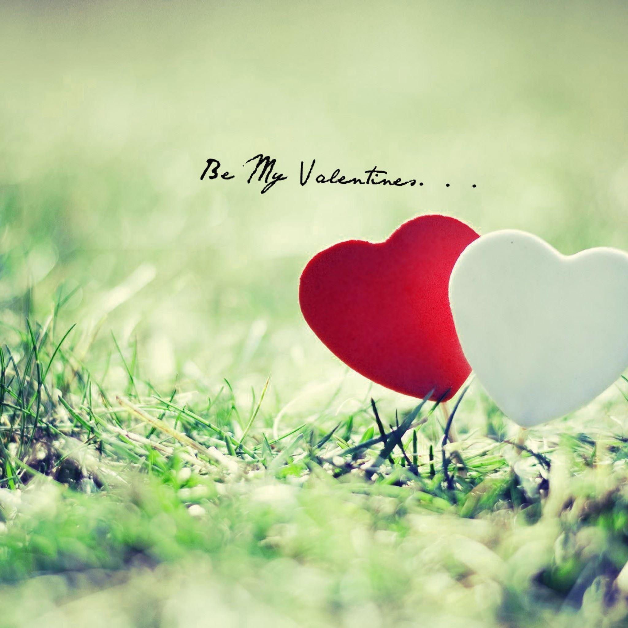 2048x2048 Be My Valentine Hearts Grass iPad Air Wallpaper Free Download