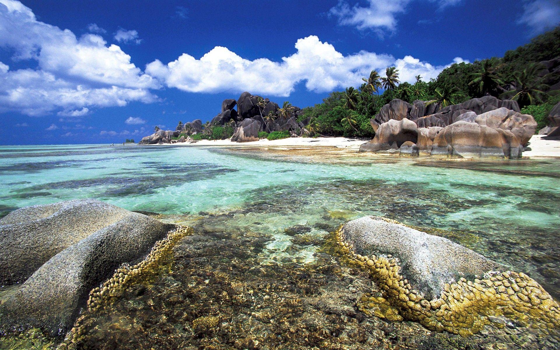 1920x1200 Beautiful HD Wallpaper