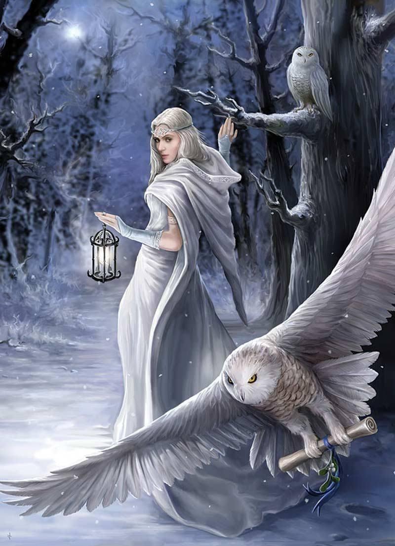 800x1106 Beautiful Lady Owl Fantasy Wallpaper iPhone 3D iPhone Wallpaper