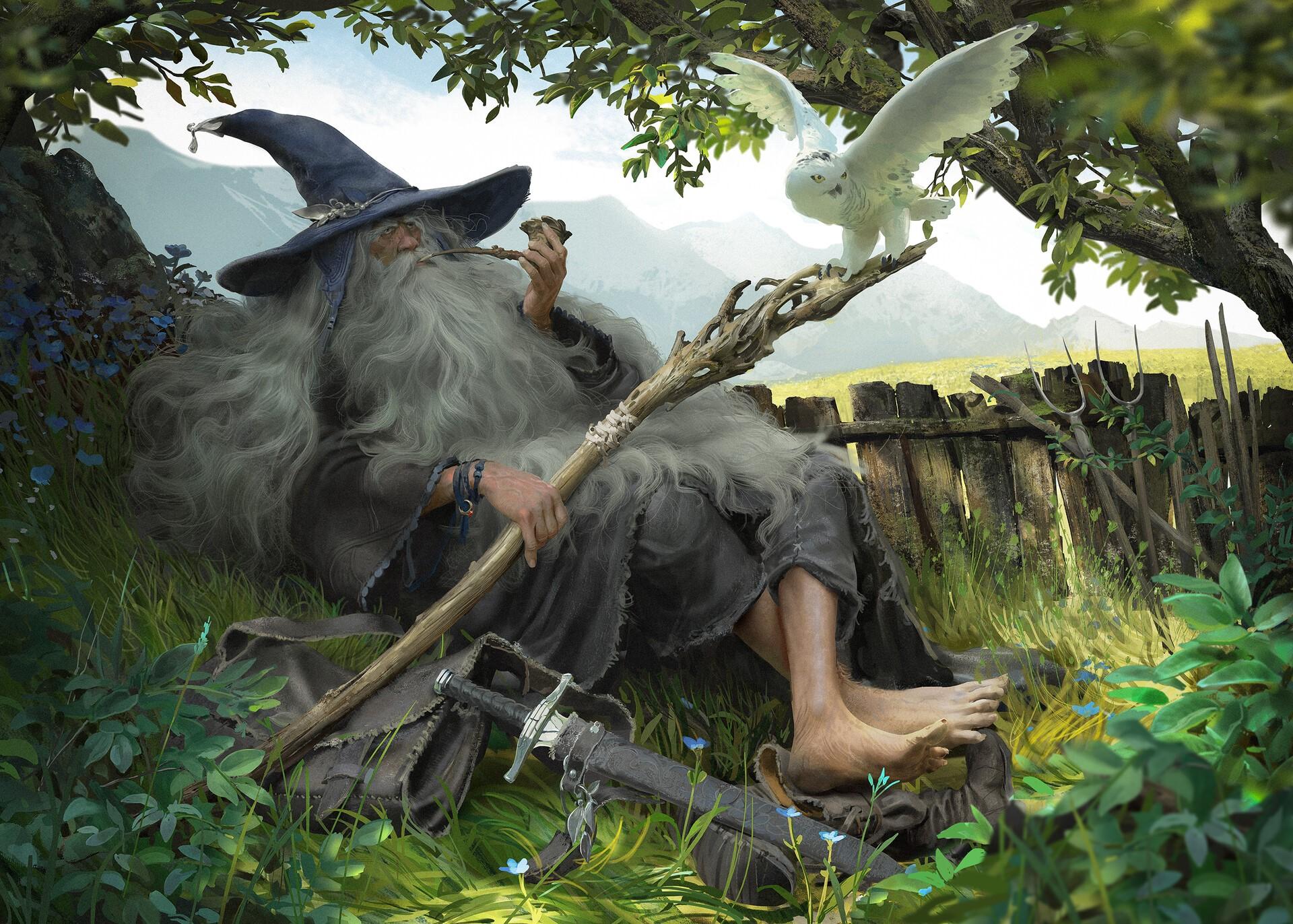 1920x1372 owl, Gandalf, staff, Fantasy Men, artwork, wizard, men, hat, beard, fantasy art, barefoot, plants, birds, smoking HD Wallpaper