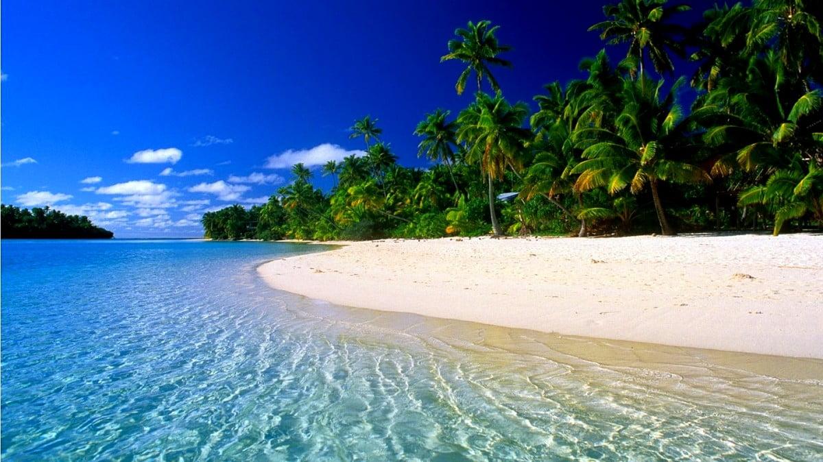 1200x674 Desktop background Beach, Nature, Tropics. FREE Best picture