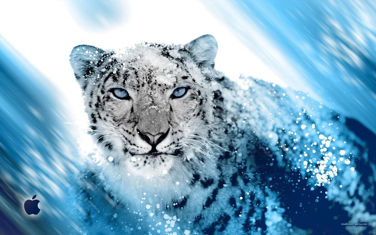 1280x800 Snow Leopard Picture Wallpaper