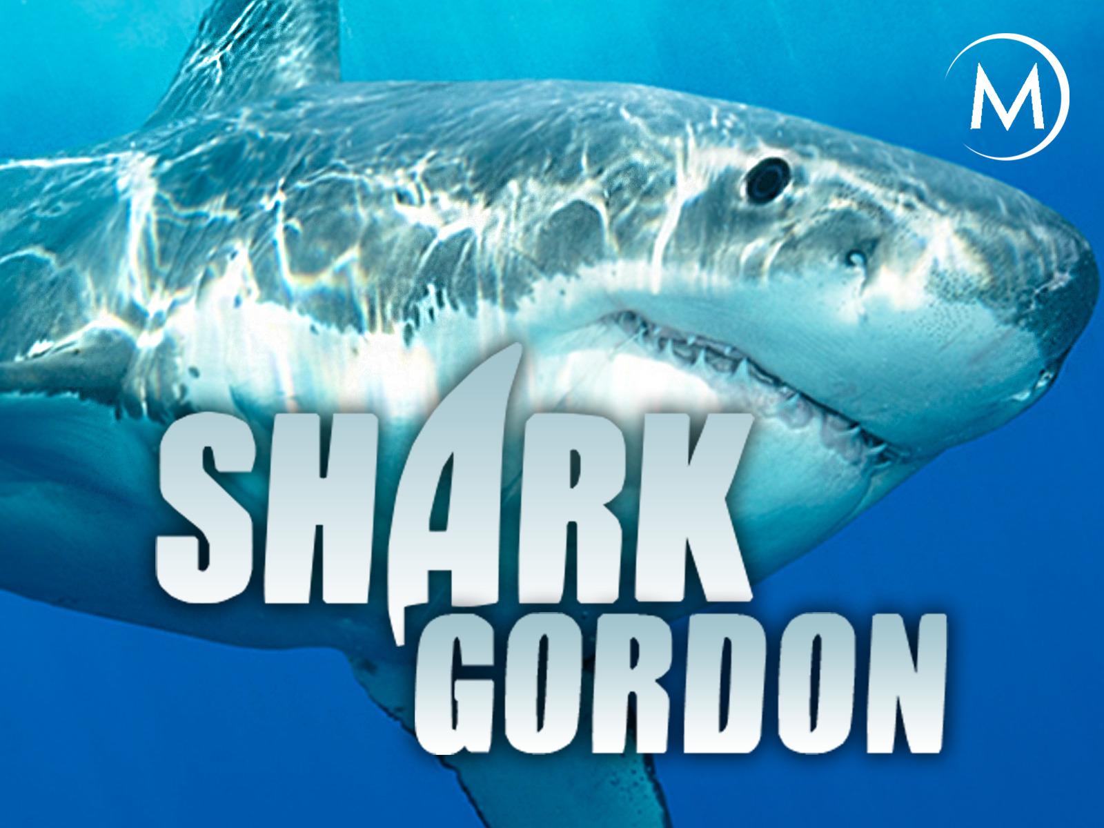1600x1200 Prime Video: Shark Gordon