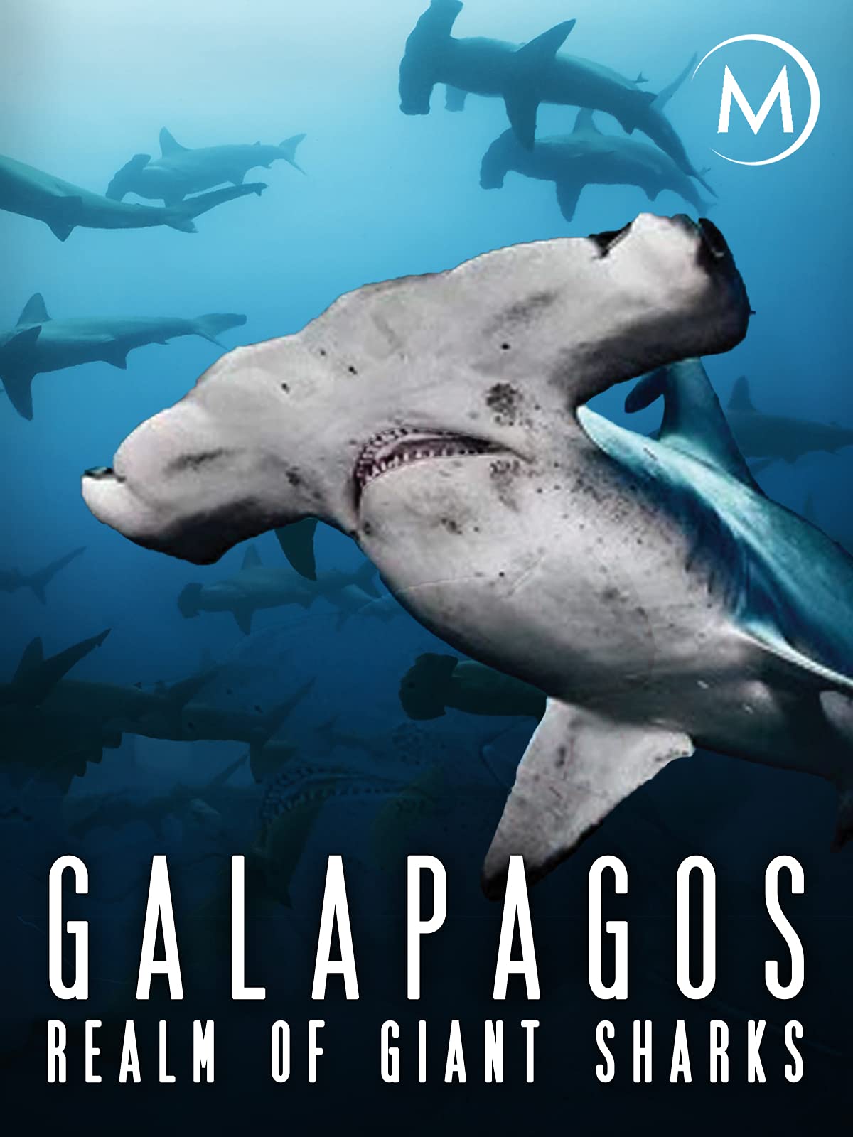 1200x1600 Watch Galapagos: Realm of Giant Sharks