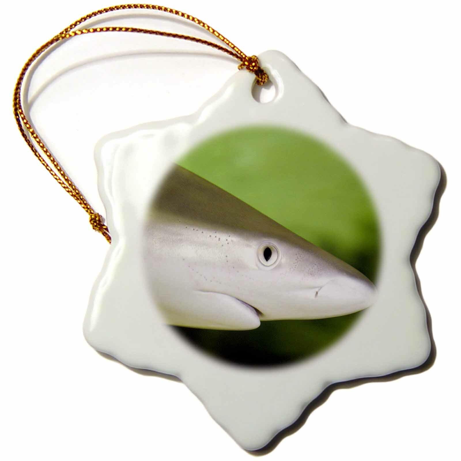 1600x1600 The Holiday Aisle® Galapagos Shark Carcharhinus Galapagensis Holiday Shaped Ornament