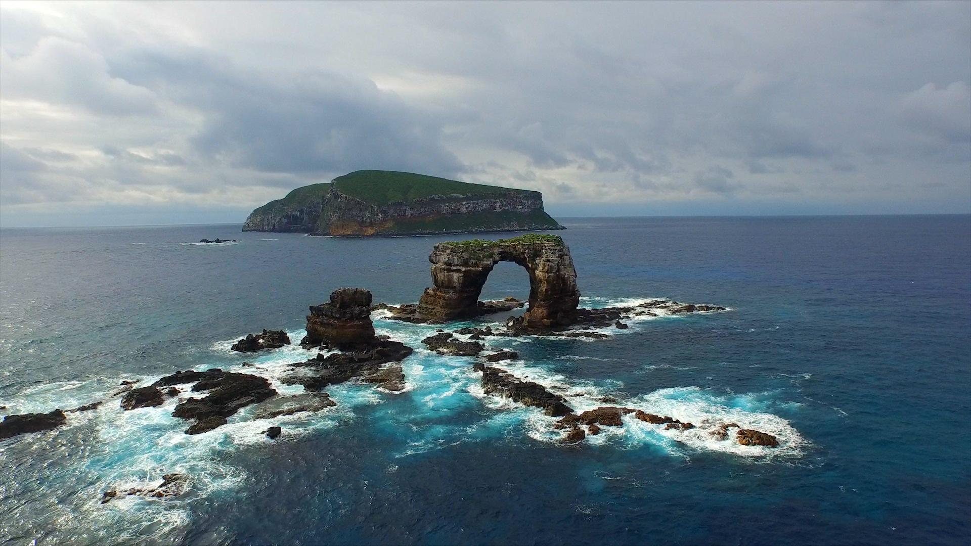1920x1080 Galapagos Islands Wolf and Darwin home to largest shark biomass in the world