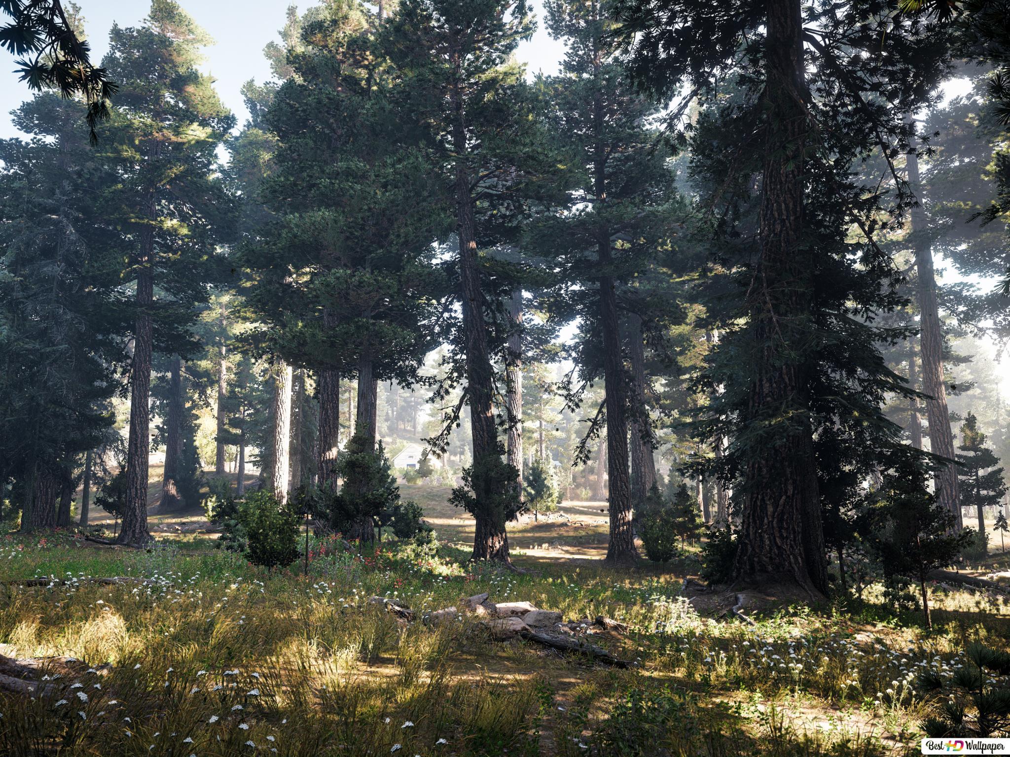 2048x1536 Far Cry 5 Pine Trees HD wallpaper download