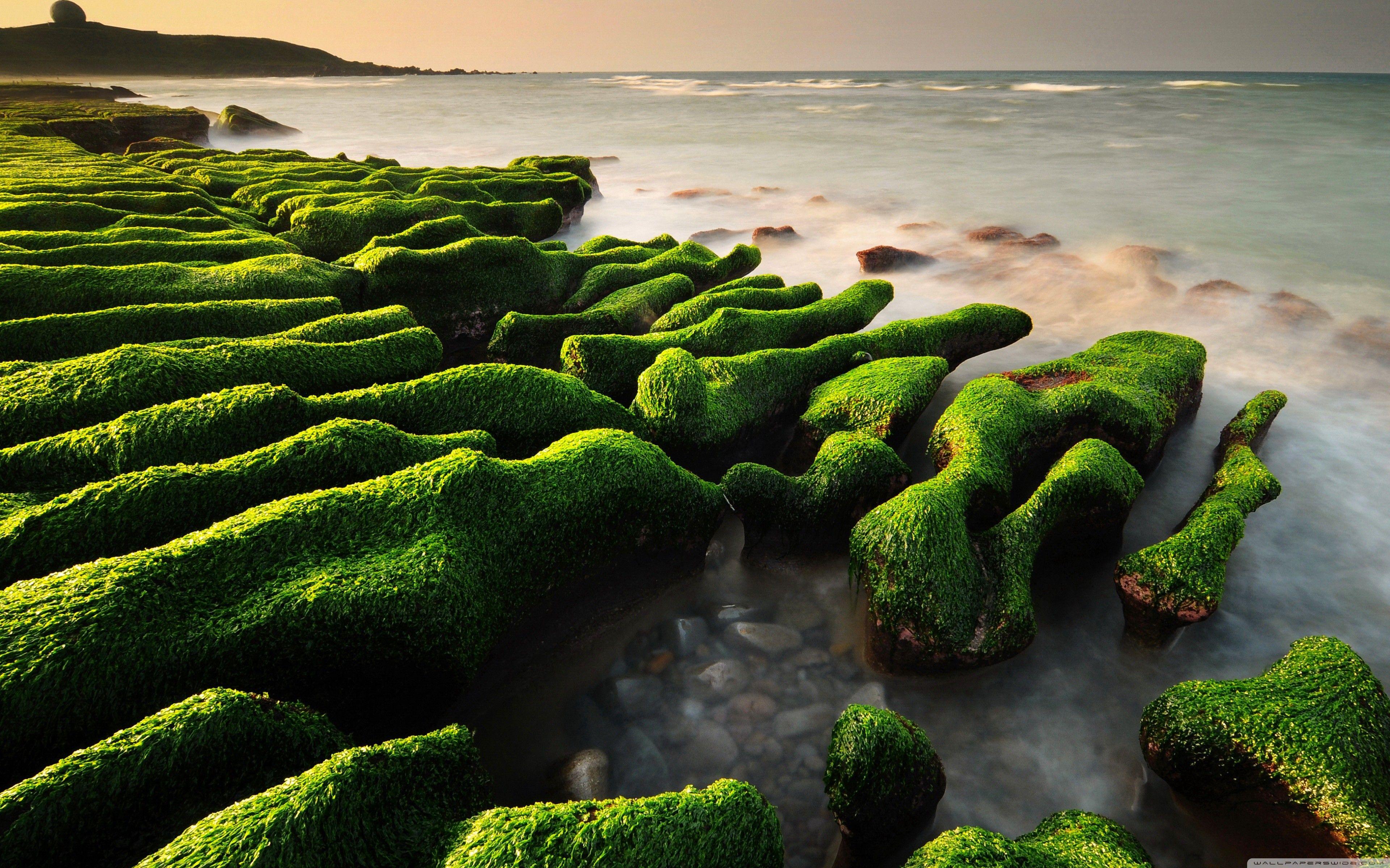 3840x2400 New Rocks Lake Landscape forest Wallpaper Wide