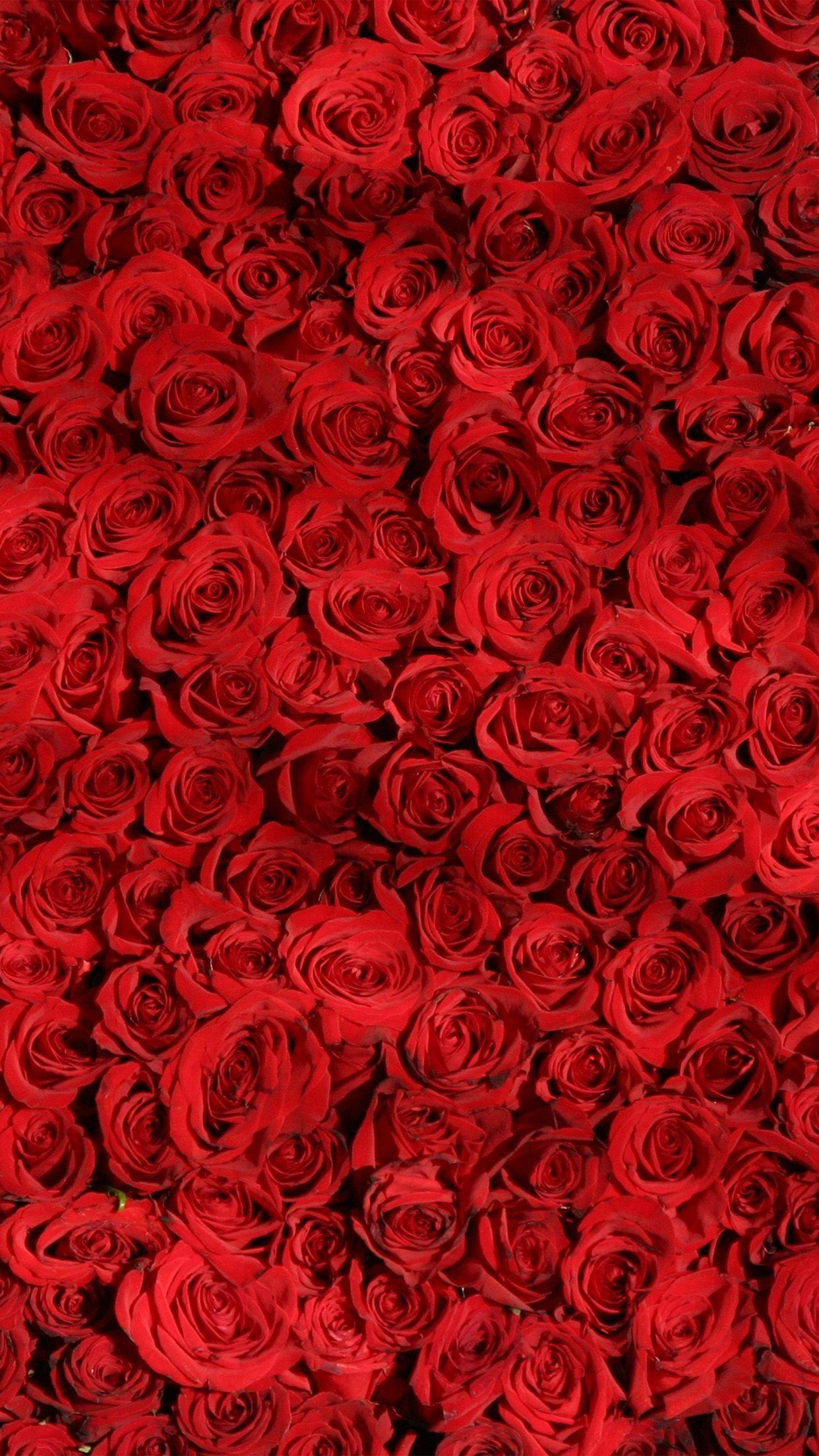 1242x2208 Red Flower iPhone Wallpaper