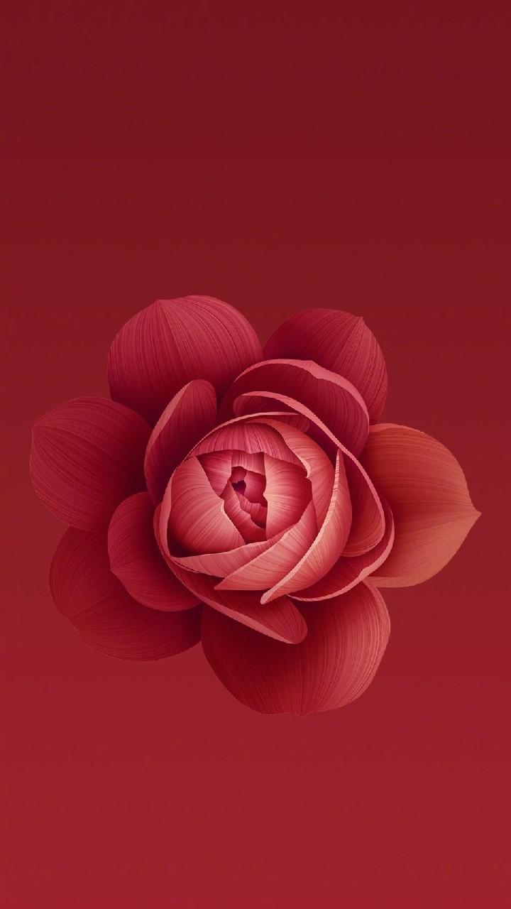 720x1280 Traxzee