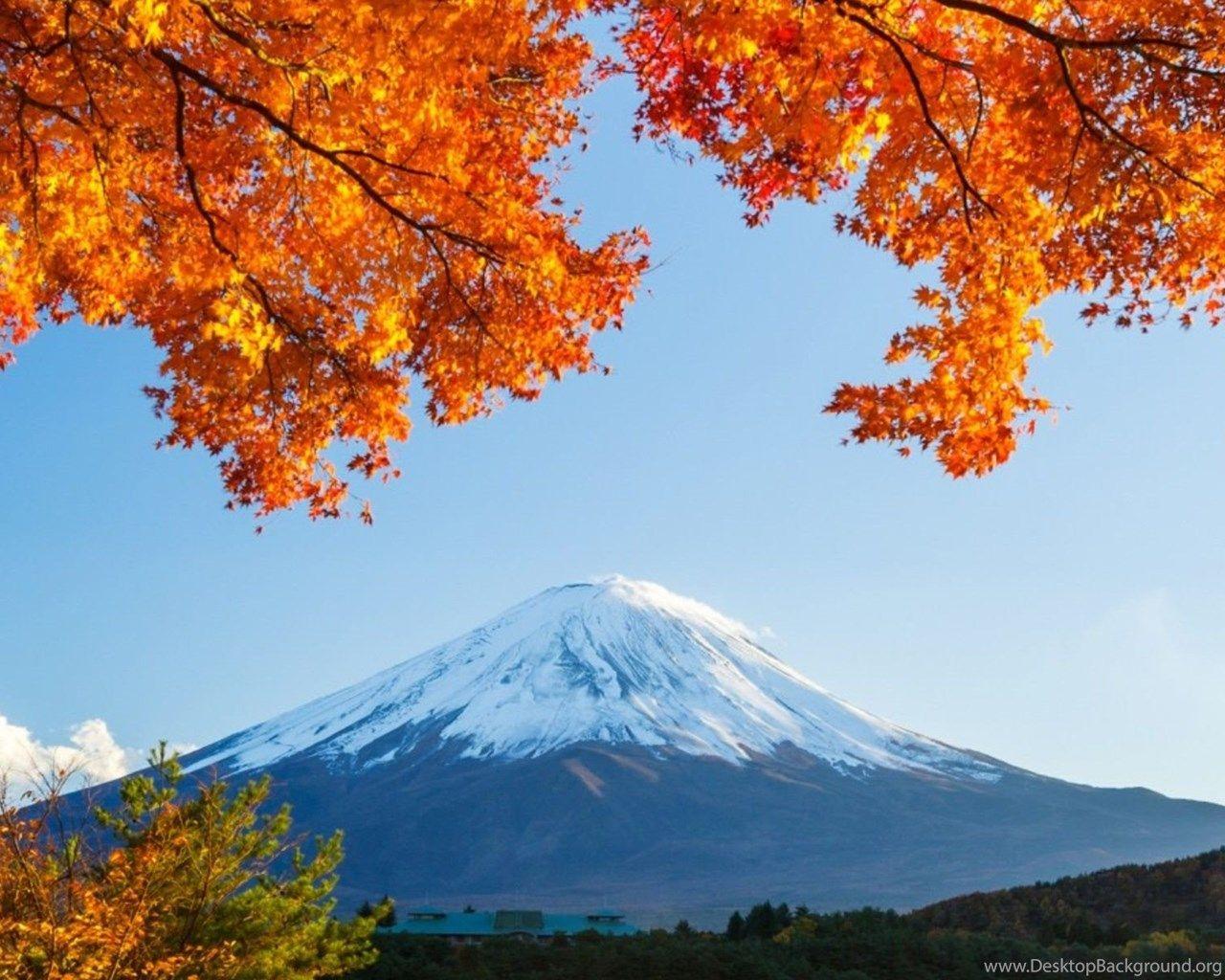 1280x1024 Autumn trees winter mountain HD wallpaper Desktop