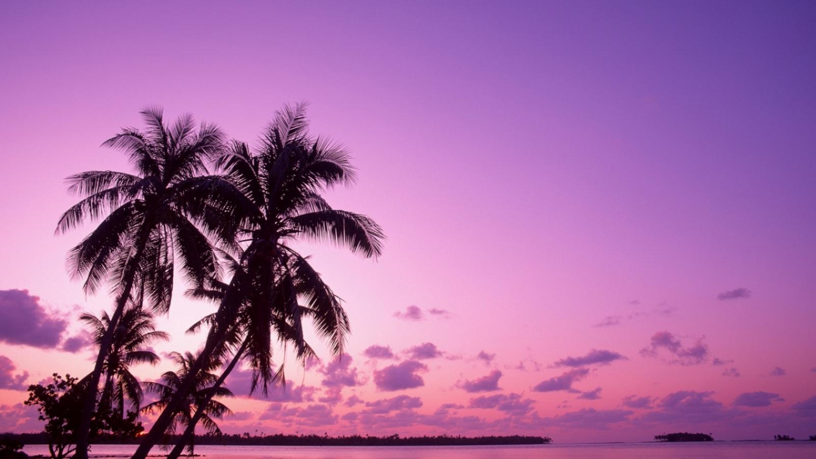1600x900 Free download Pink Sunset Background HD wallpaper background [1680x1050] for your Desktop, Mobile & Tablet. Explore Set Wallpaper Screen Wallpaper, Set Wallpaper Windows Change Desktop Wallpaper Windows 8