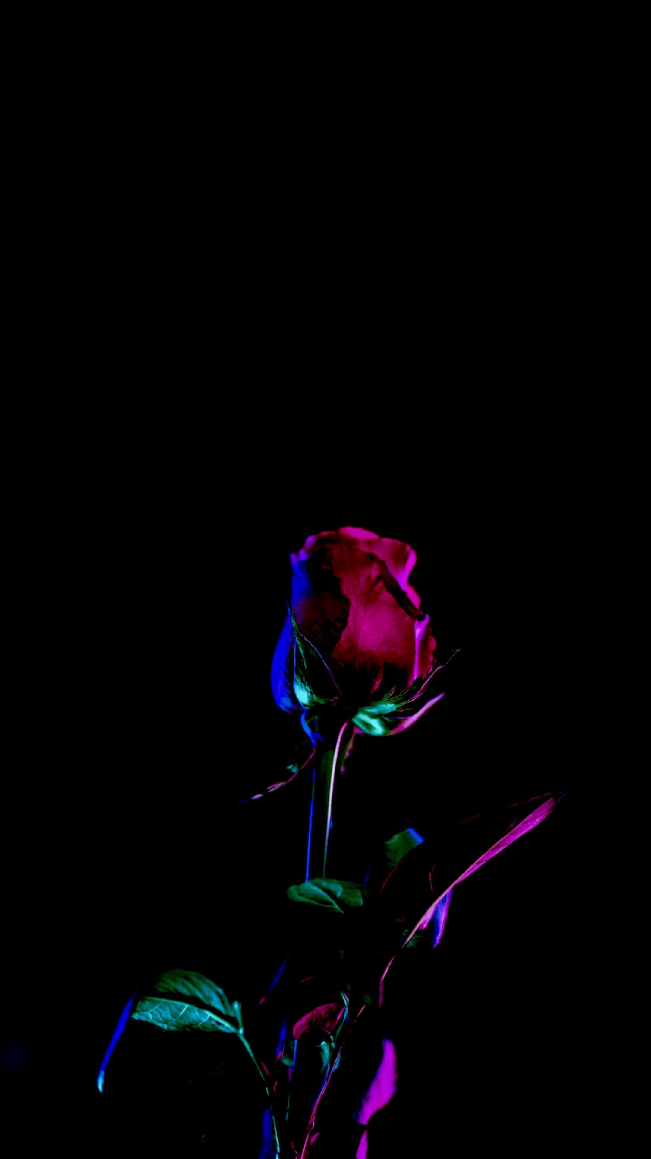 2160x3840 Amoled Black Flowers Wallpaper