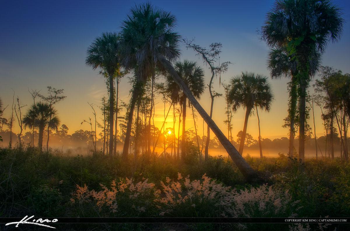 Florida Landscape Wallpapers Top Free Florida Landscape Backgrounds