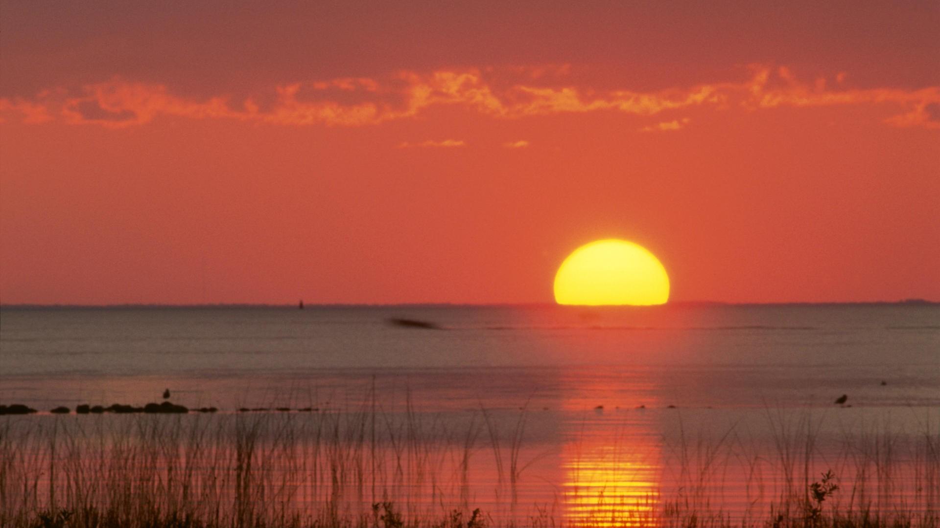 1920x1080 Landscape, mexico, wallpaper, florida, moment, nature, golden