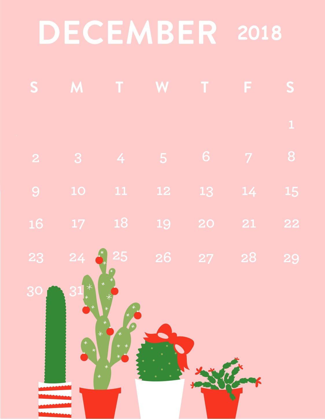 1124x1448 Christmas Cactus Wallpaper iPhone