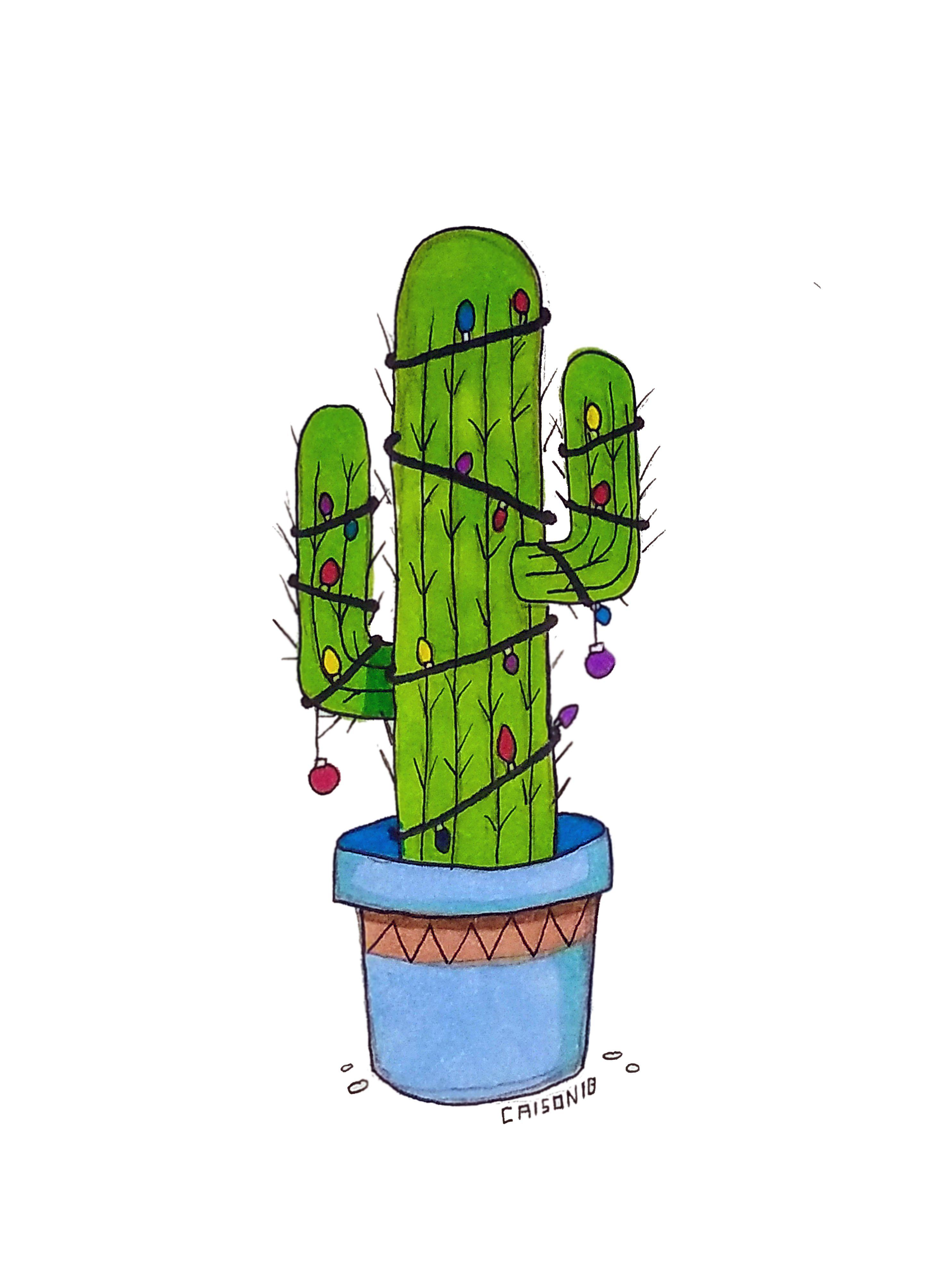 2970x3960 Christmas Cactus. Christmas cactus, Christmas drawing, Cactus drawing