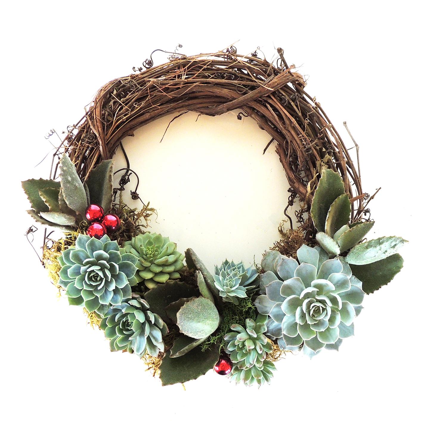1412x1412 Succulent Christmas Trees, Ornaments, Wreaths and Decor!