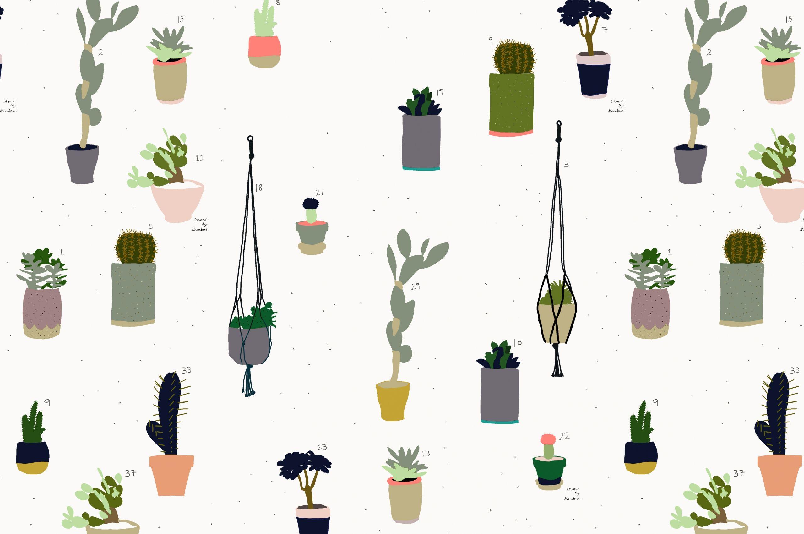 2560x1700 Cute Cactus Wallpaper, HD Cute Cactus Background