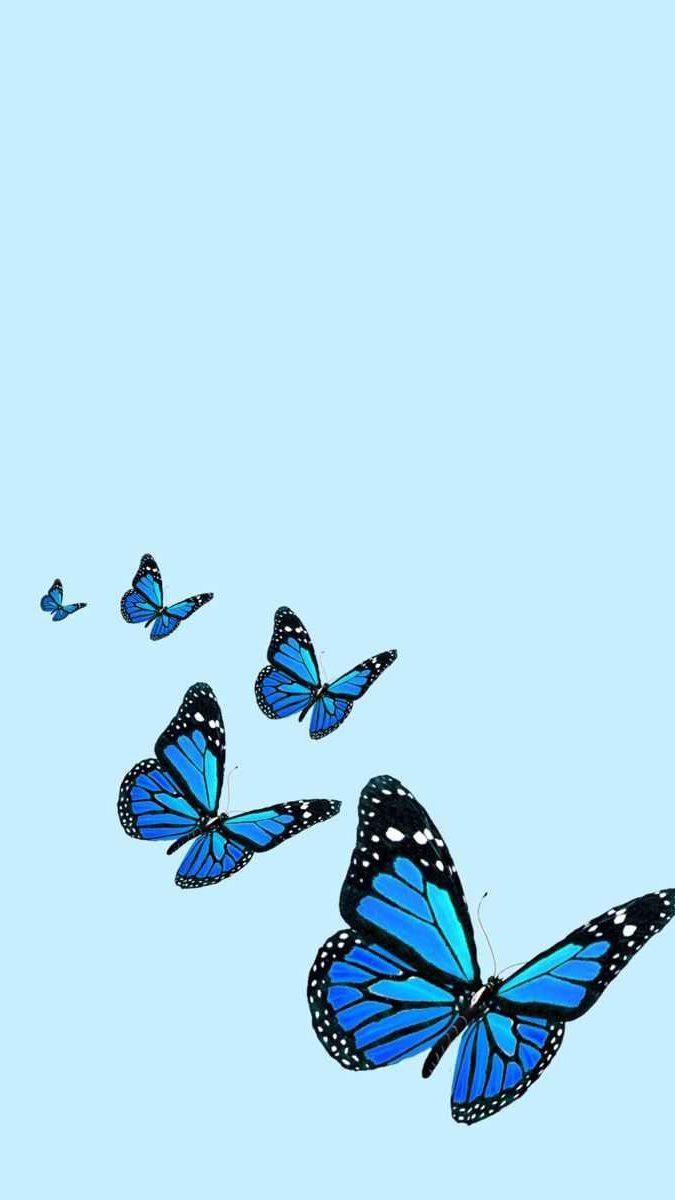 675x1200 Blue Butterfly Wallpaper