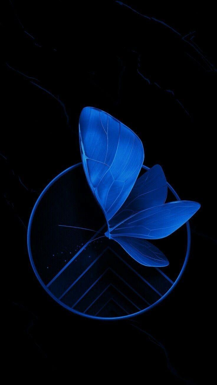 736x1308 Blue Butterfly Wallpaper
