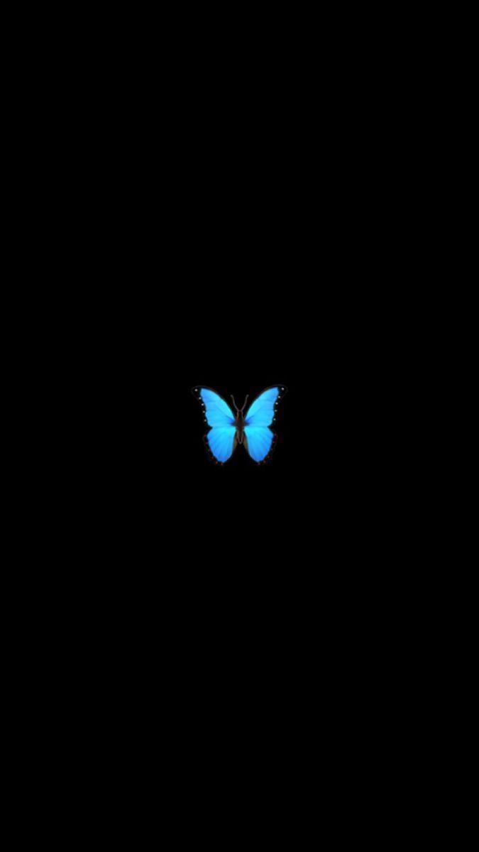 675x1200 Dark Butterfly Anime Girl Wallpaper
