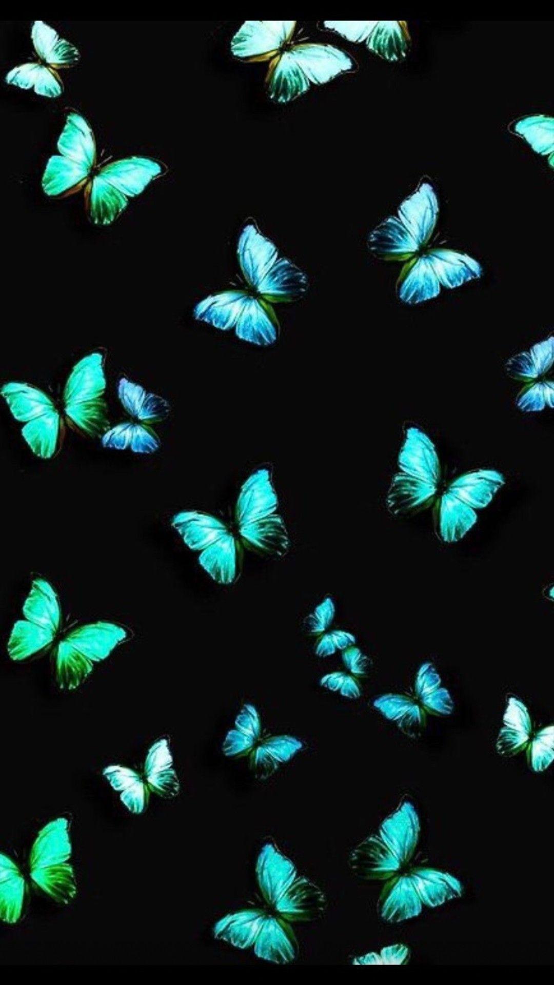 1080x1920 patterns. Butterfly wallpaper background, Blue butterfly wallpaper, Butterfly wallpaper iphone