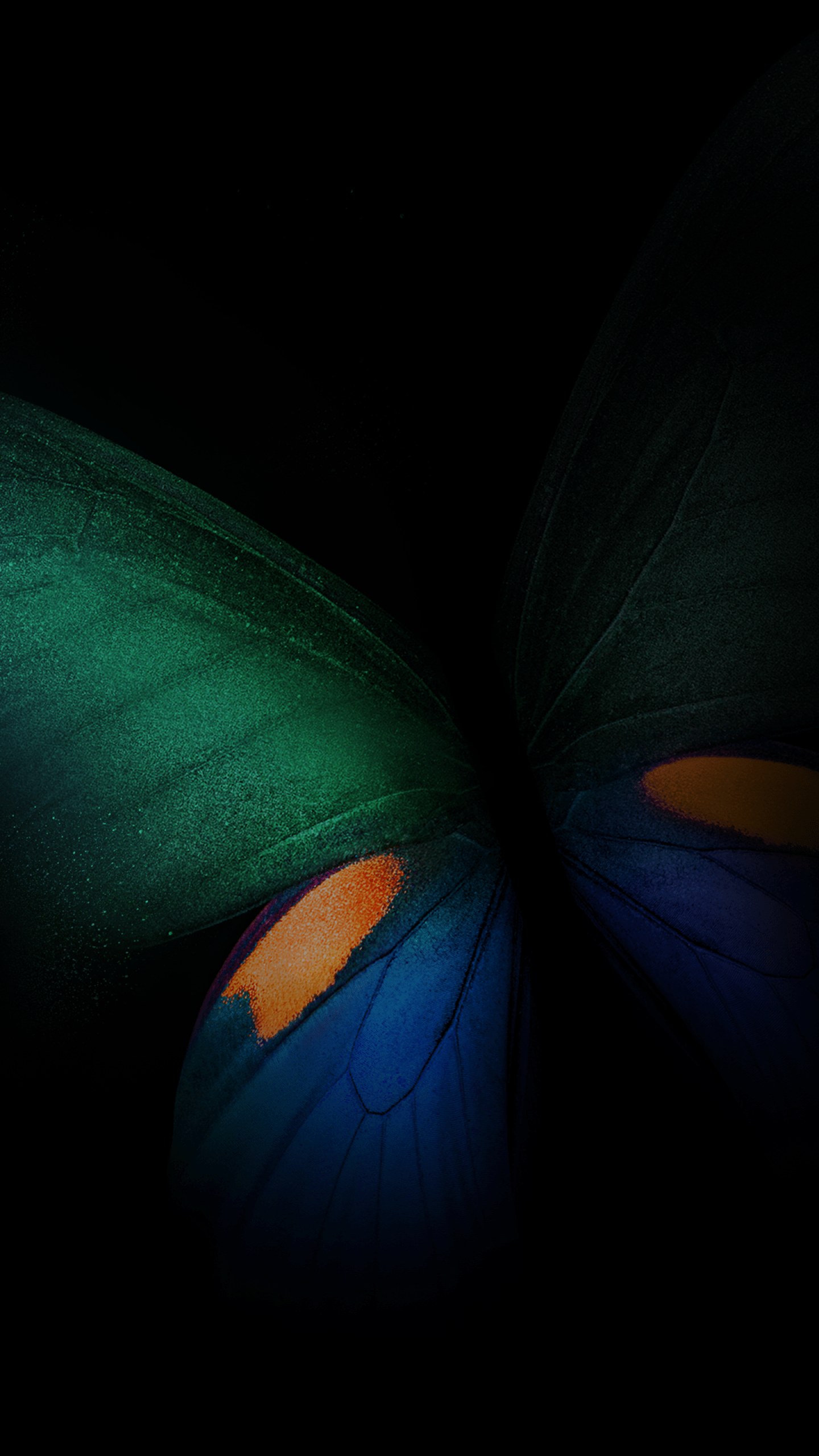 1440x2560 Green Butterfly Black Background