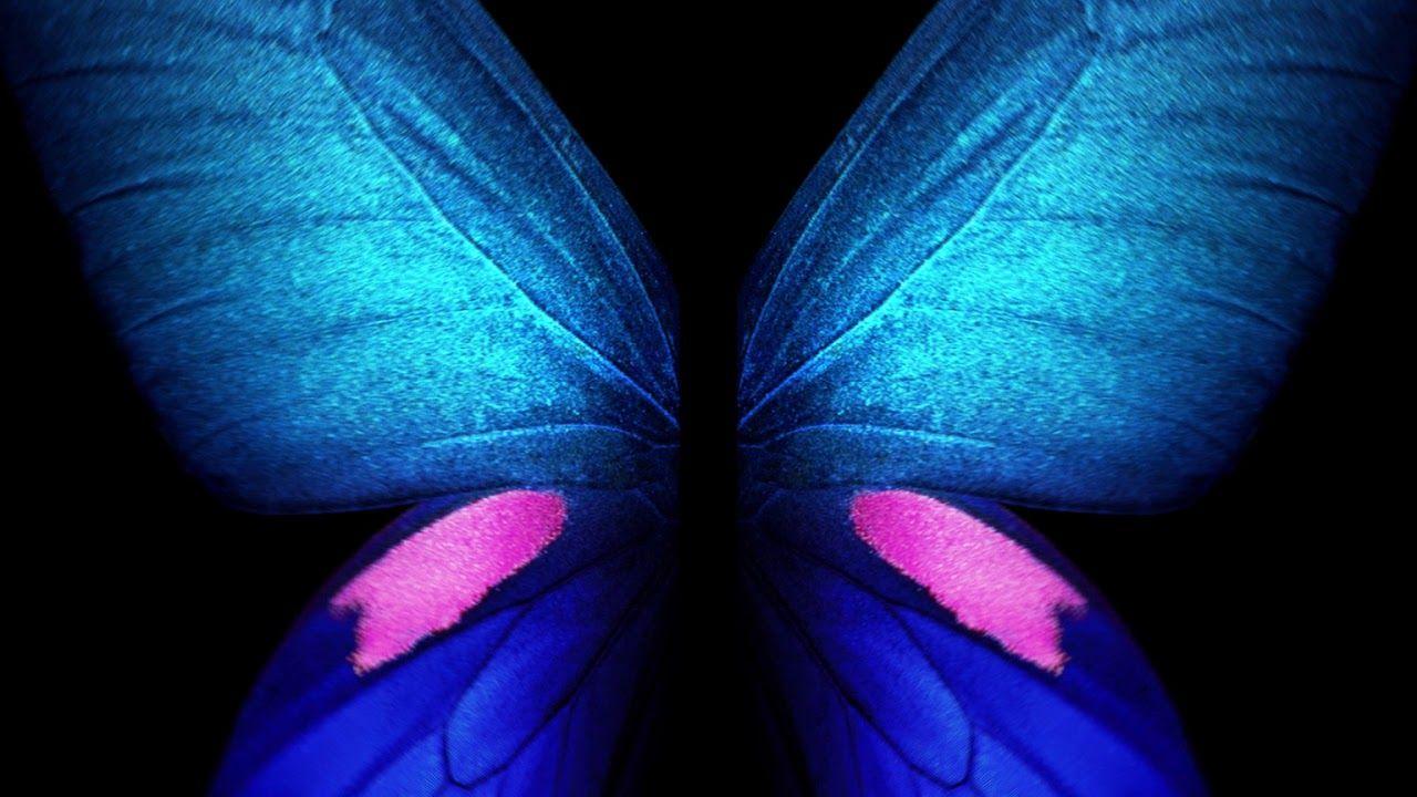 1280x720 Blue Butterfly Wallpaper