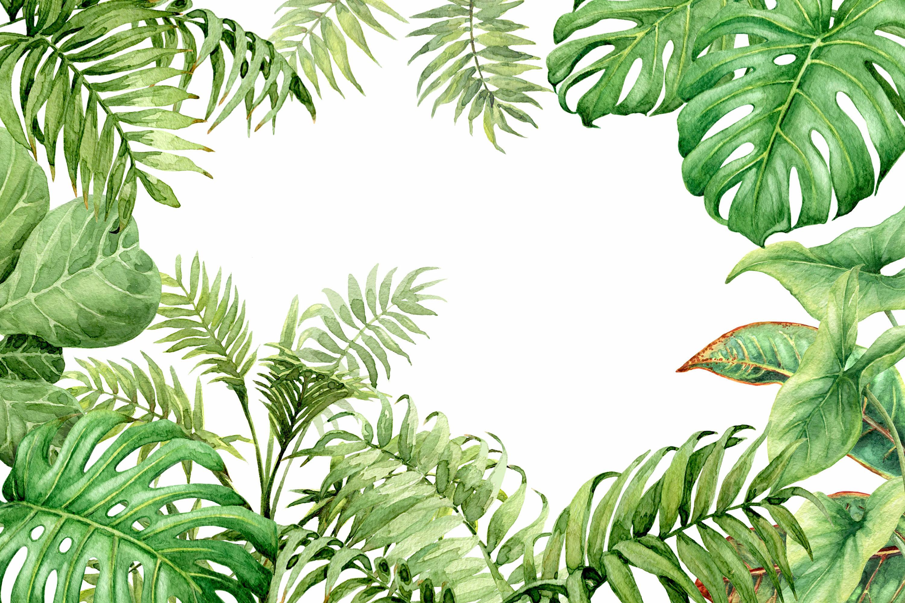 3000x2000 UniQstiQ Removable Hand Drawn Branches Leaves Tropical 7.87' L x 197 W Peel and Stick Wallpaper Roll
