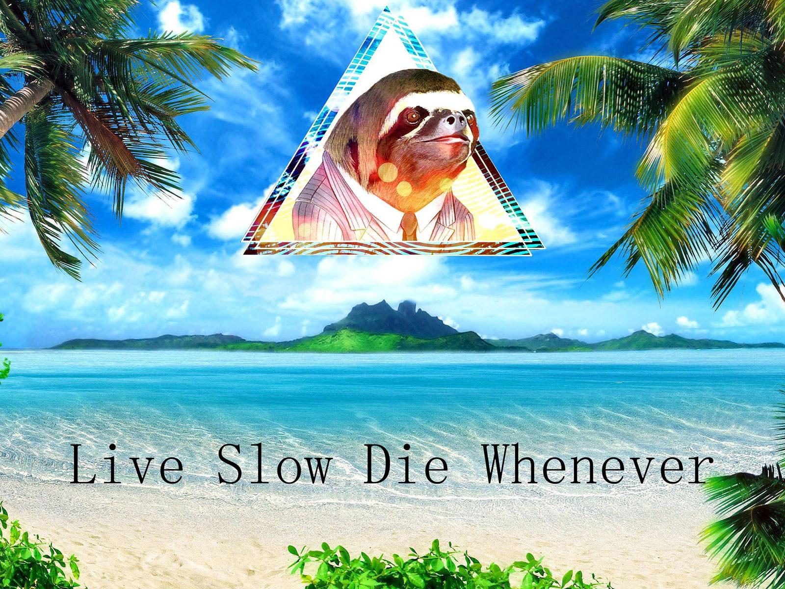 1600x1200 Wallpaper Funny, Humor, Islands, Ocean, Palm, Quotes, Sea • Wallpaper For You