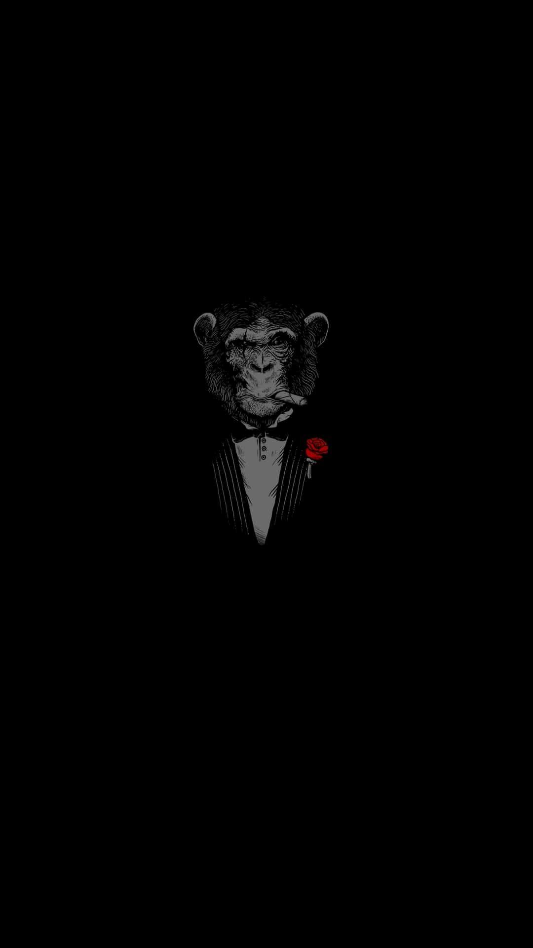 1080x1920 Minimalist iPhone Wallpaper, HD Minimalist iPhone Background on WallpaperBat