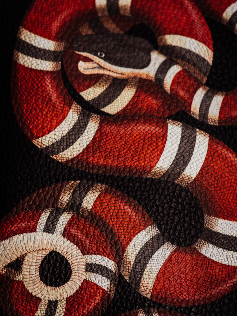 Gucci Snake Logo Wallpapers Top Free Gucci Snake Logo Backgrounds