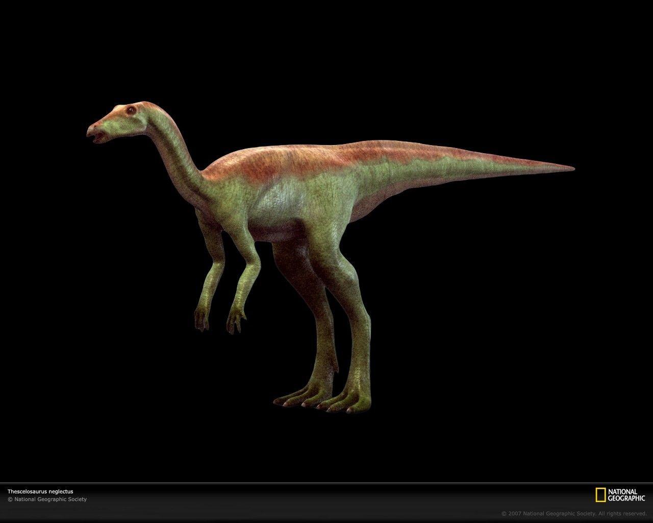 1280x1024 Paleontology Prehistoric Reptile Great Amazing National Awesome