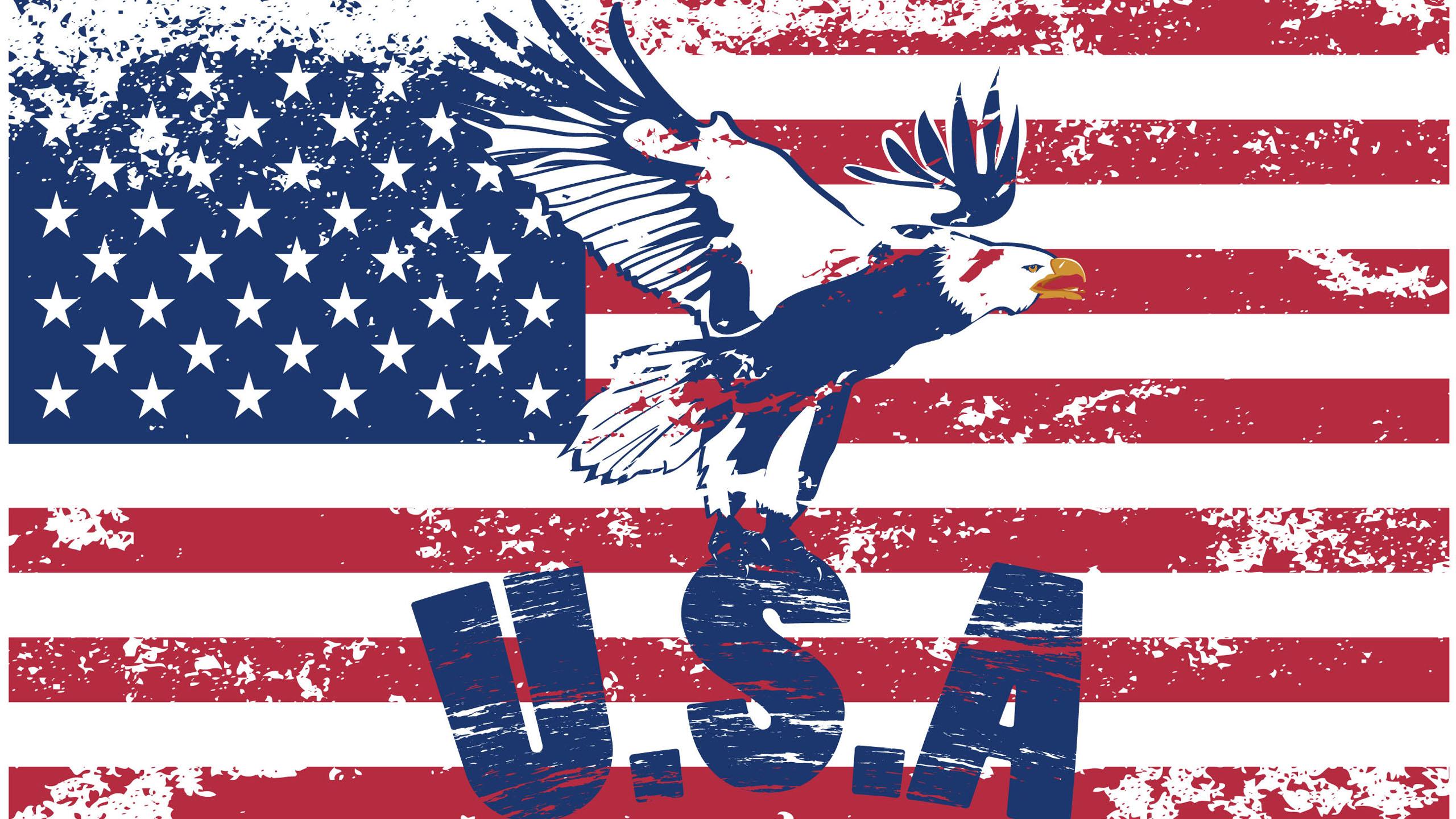 2560x1440 US Flag With Eagle Image HD American Flag Wallpaper