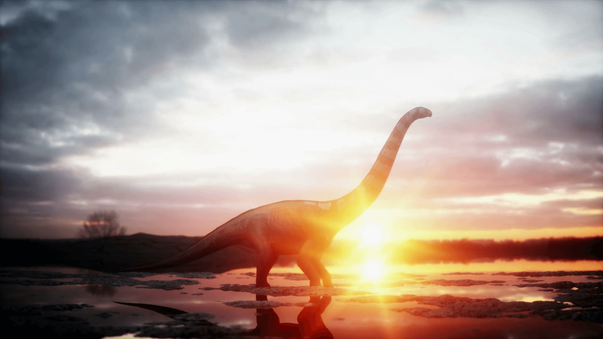 Prehistoric 4K Wallpapers - Top Free Prehistoric 4K Backgrounds