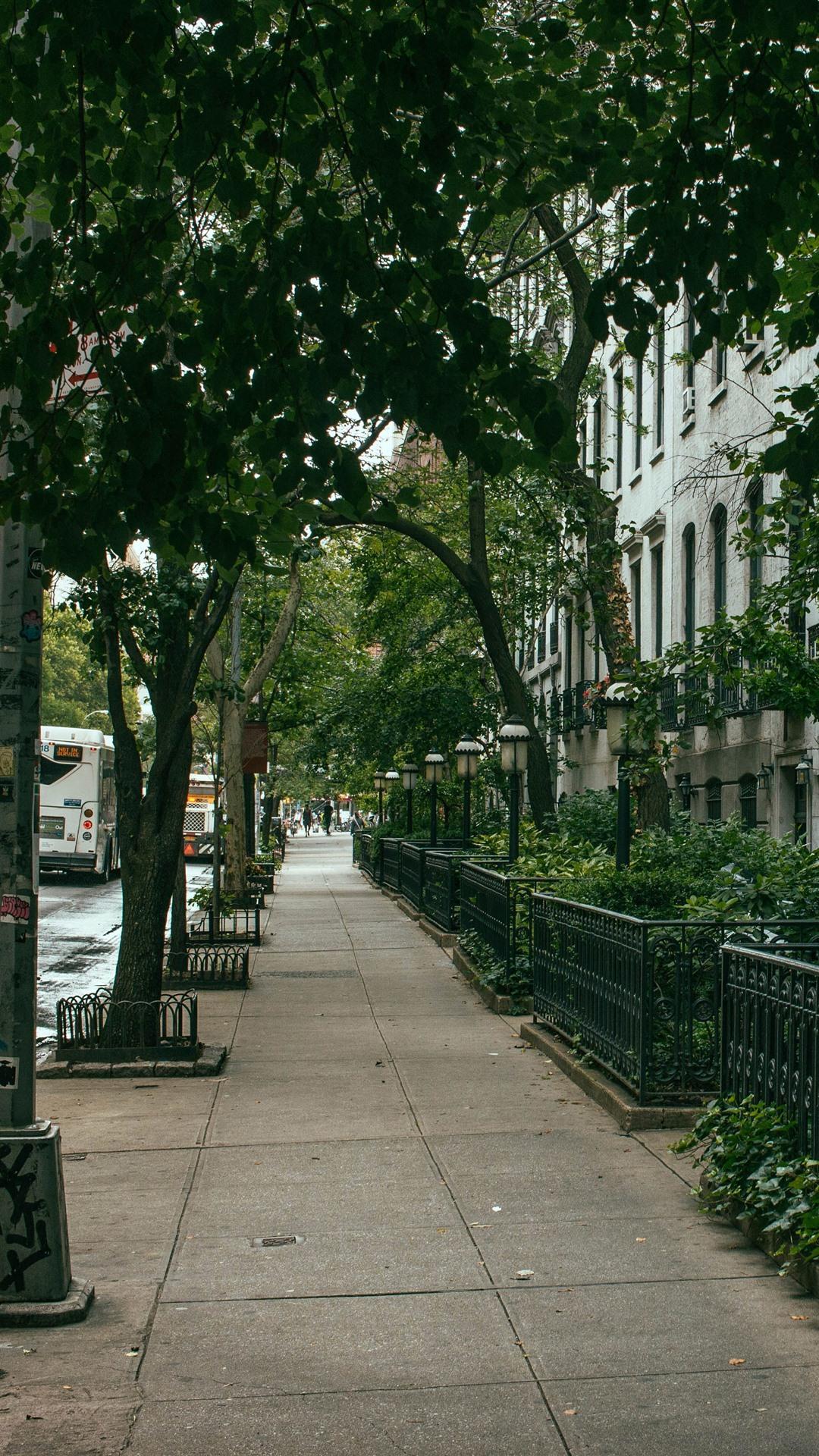 1080x1920 New York, Street, Trees, Houses, Cars, USA 1242x2688 IPhone 11 Pro XS Max Wallpaper, Background, Picture, Image