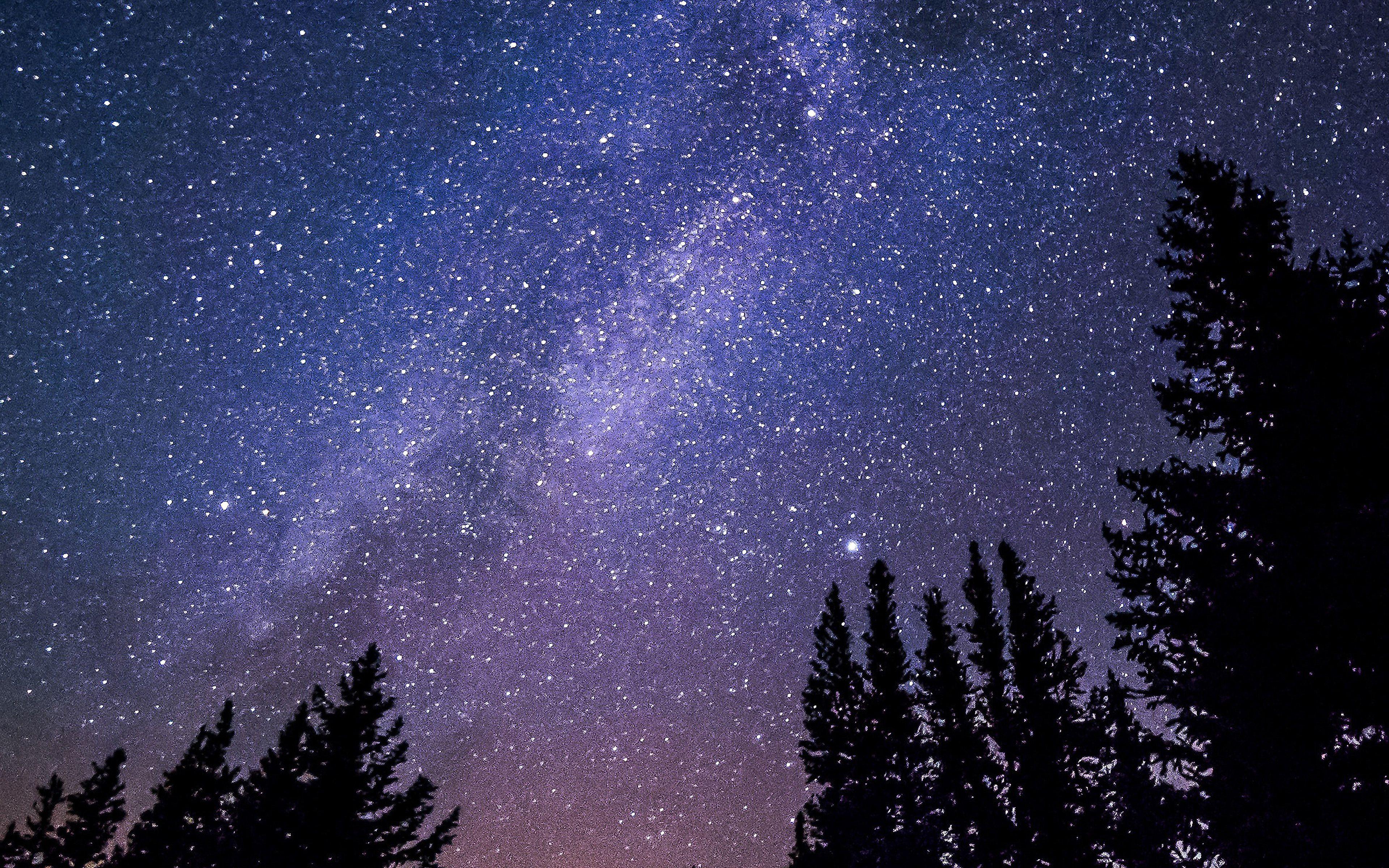 3840x2400 Night Starry Sky Aurora Winter Wallpaper