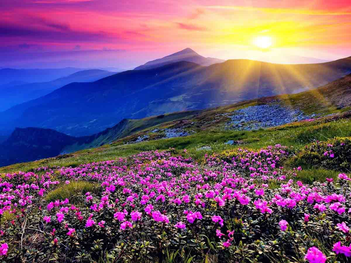 1200x900 Nanda Devi National Park: Detailed Travel Blog