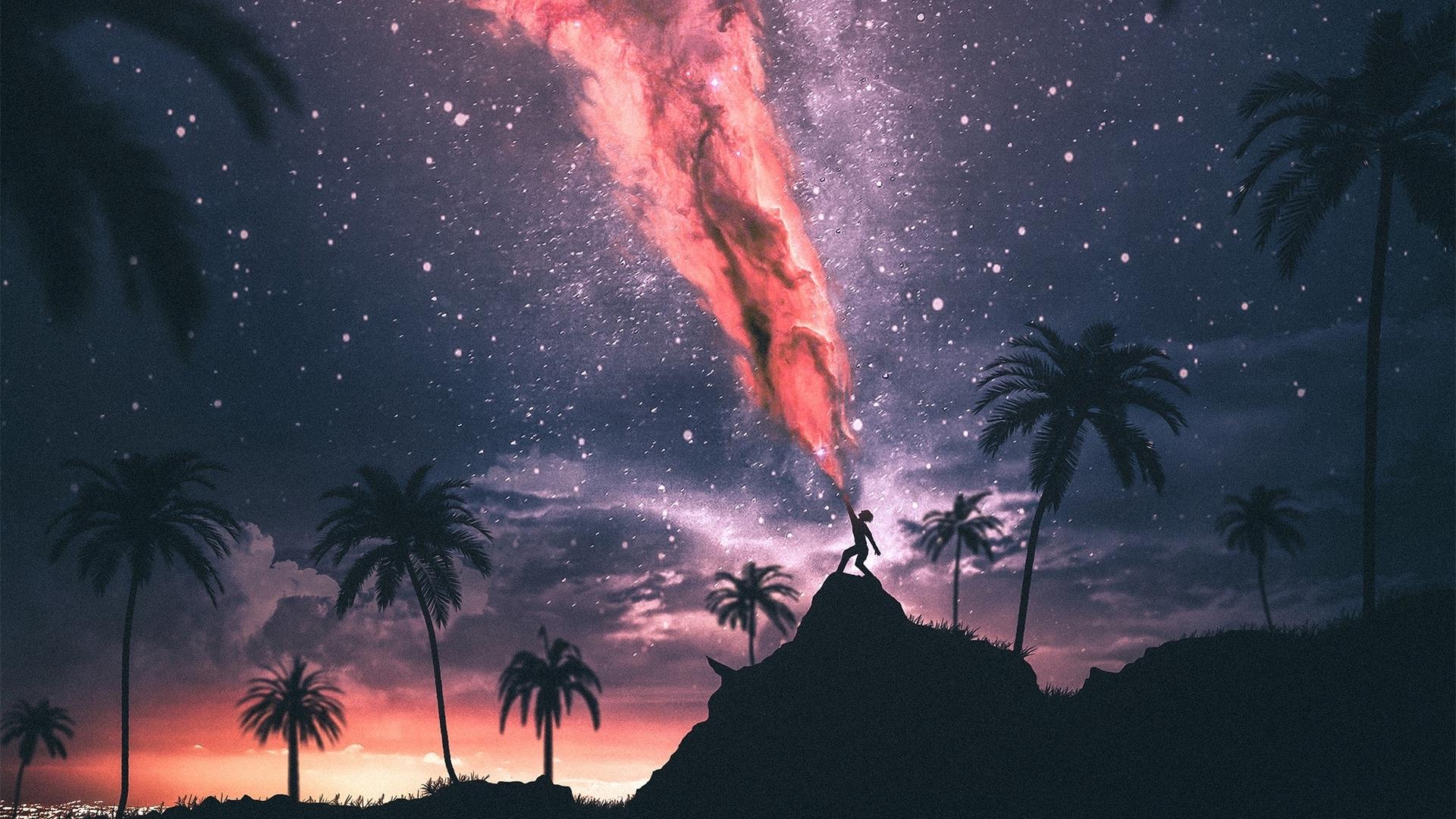 1920x1080 palm tree HD wallpaper, background