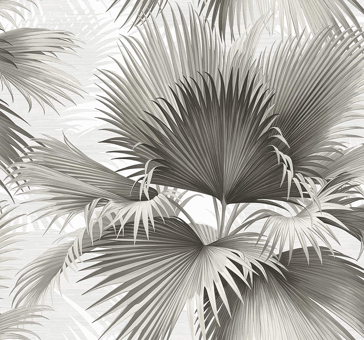 1500x1400 Kenneth James 2927 40100 Summer Palm Tropical Wallpaper, Grey, 2 Piece : Clothing, Shoes & Jewelry