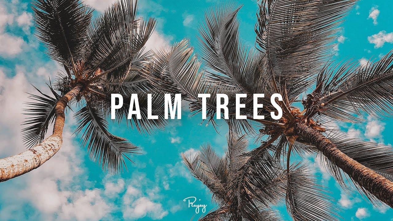 1280x720 Palm Trees Summer Rap Beat. R&B Hip Hop Instrumental Music 2019. Ihaksi #Instrumentals
