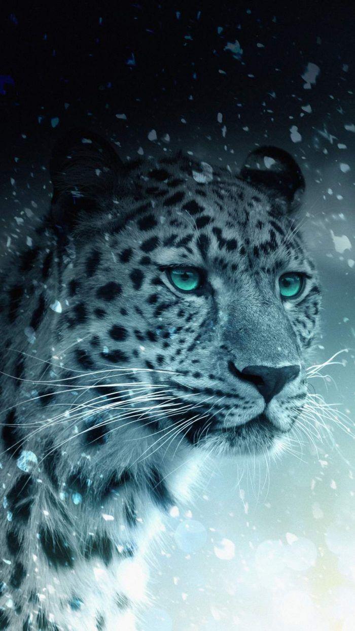 700x1244 Snow Leopard iPhone Wallpaper
