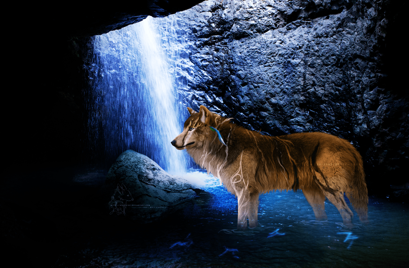 Blue Fire Wolf Wallpapers Top Free Blue Fire Wolf Backgrounds