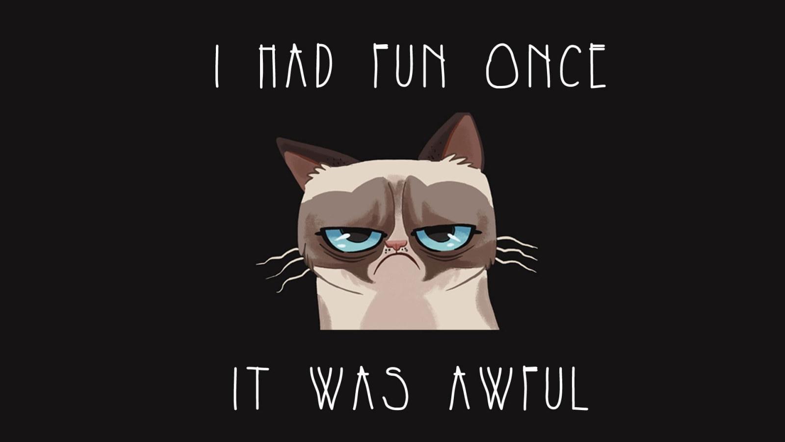 1600x900 Wallpaper Beige And Black Cat With Text Overlay, Humor • Wallpaper For You HD Wallpaper For Desktop & Mobile