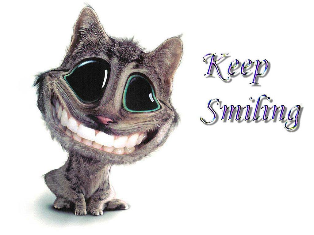 1024x768 funny desktop background