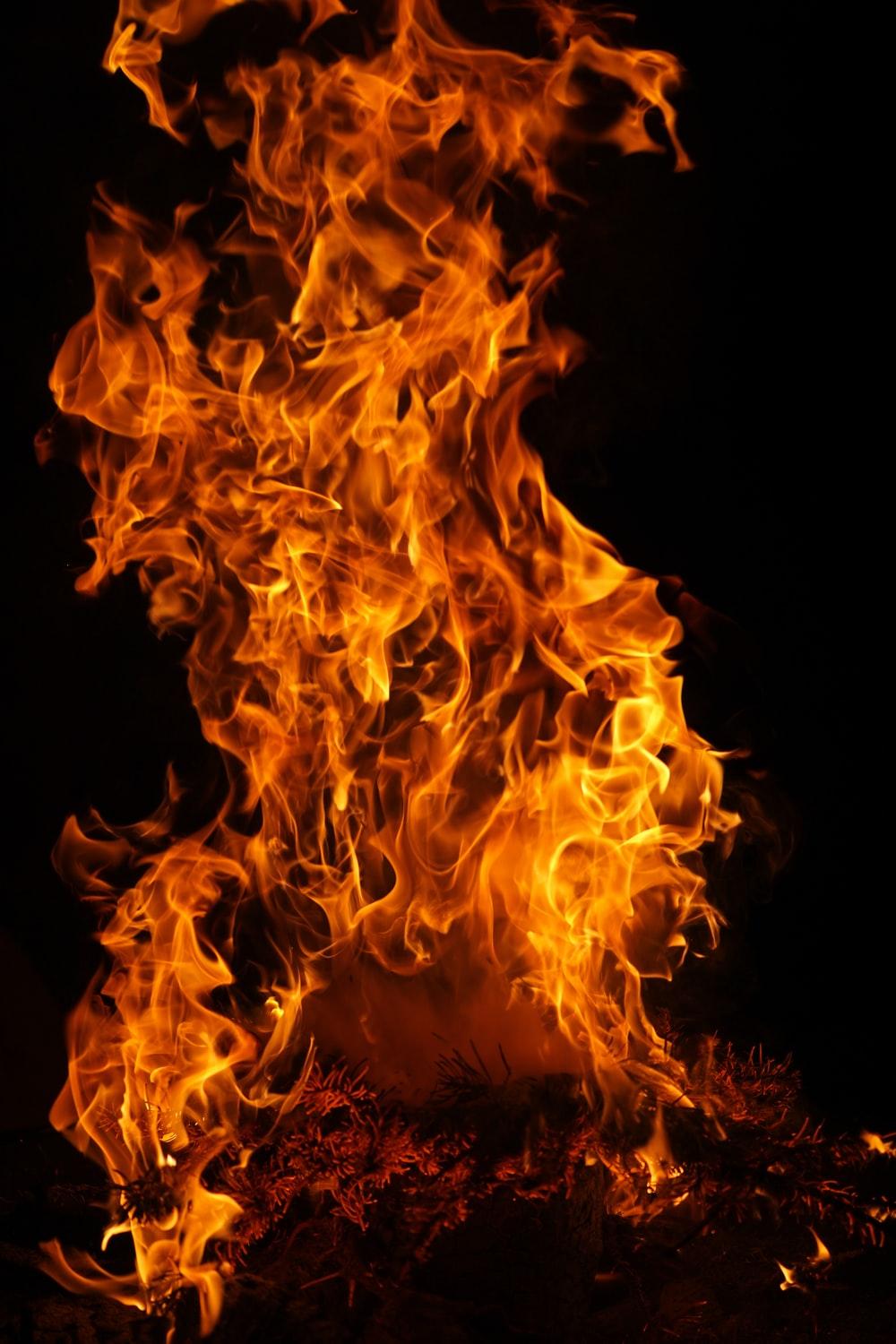 1000x1500 Flame Picture. Download Free Image