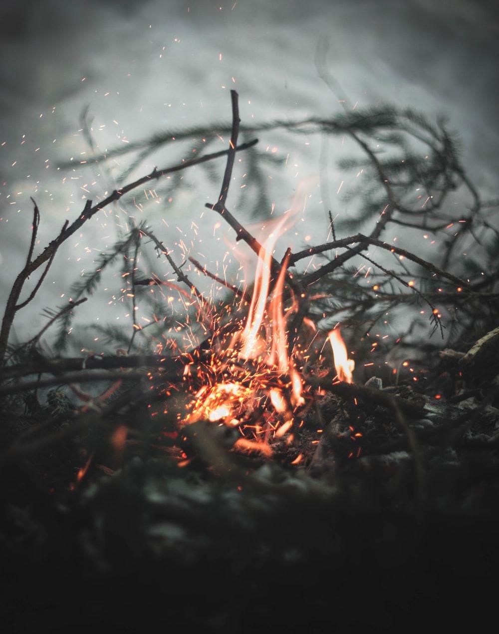 1000x1271 Flame Picture. Download Free Image
