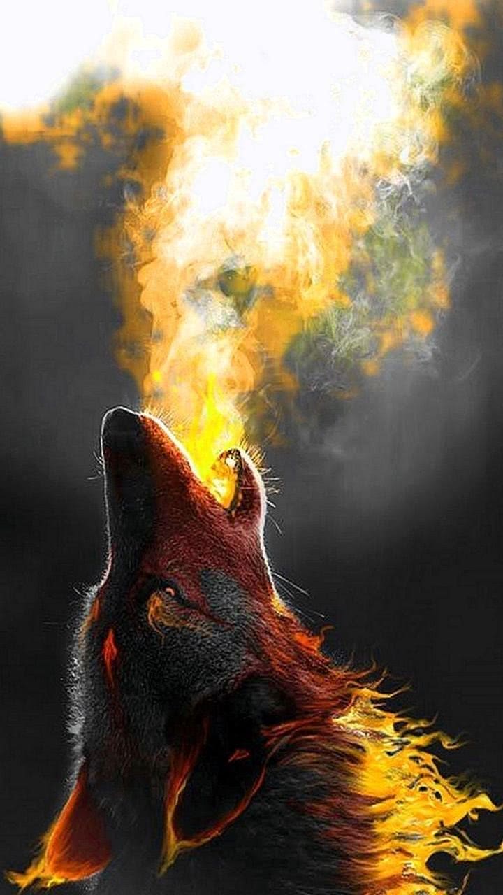 720x1280 Fire Wolf Wallpaper Mobile Wallpaper.pro